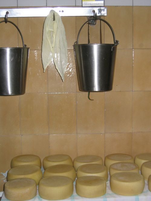 scuola di formaggio-5.JPG